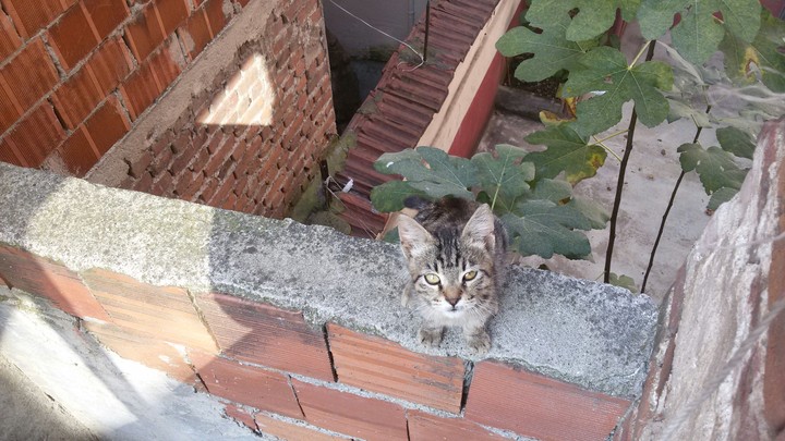Boncuk Efendi
