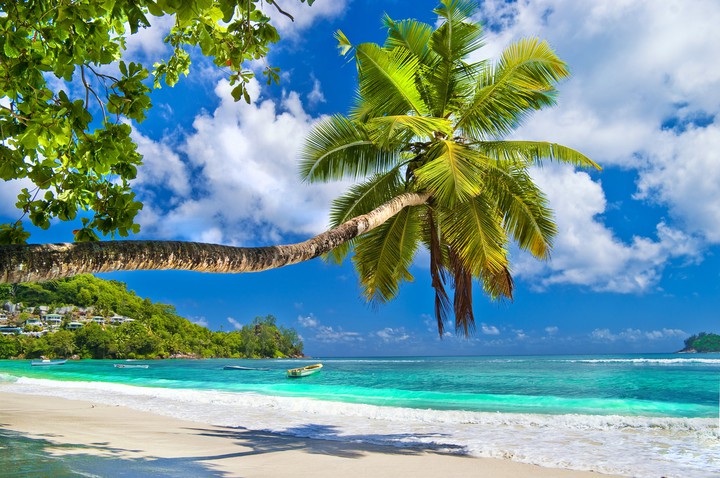 beach
