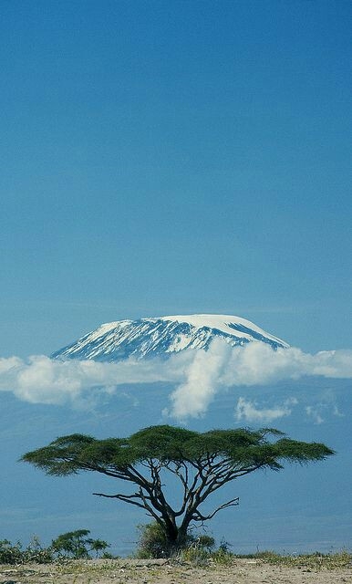 Mount Kilimanjaro - Tanzania Africa