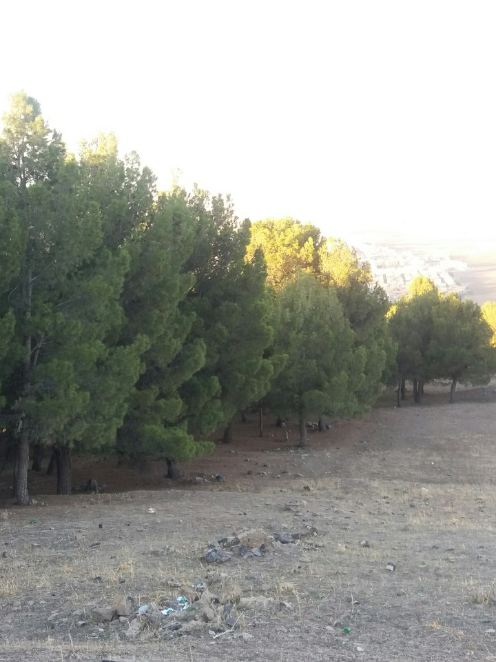 مزيطة