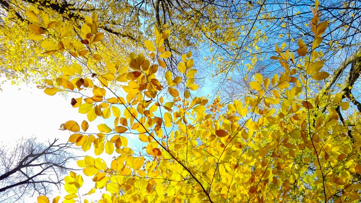 look up