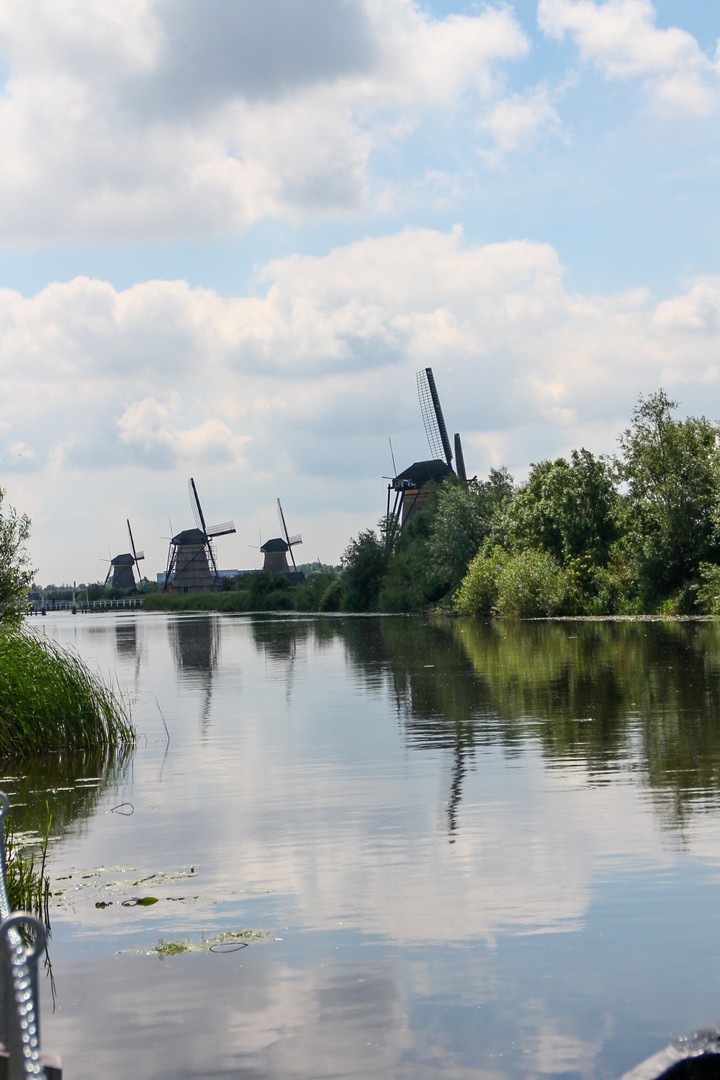 windmills
