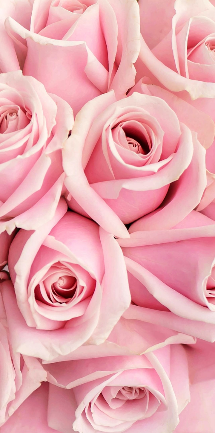 ♥