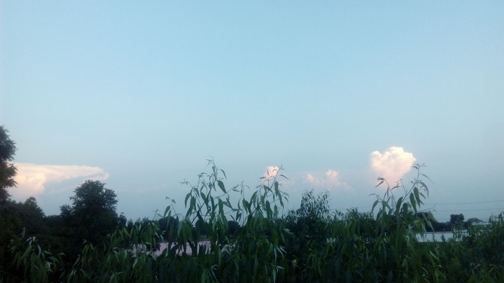 nature