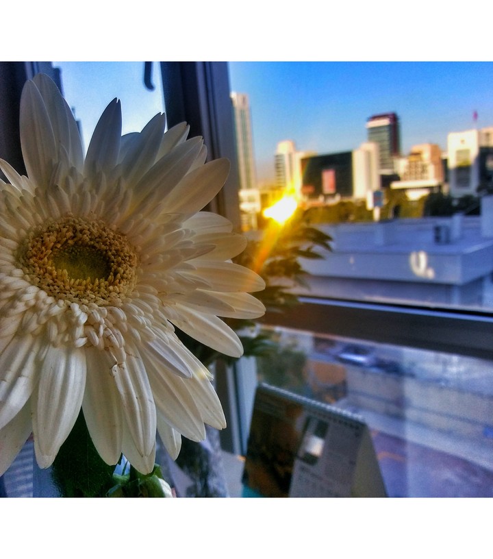 sun