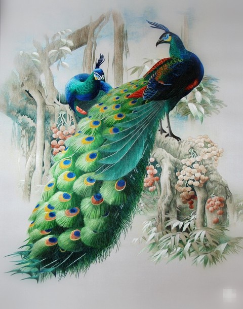 peacock