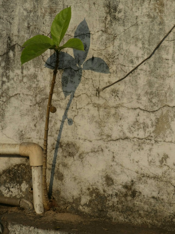 nk photography