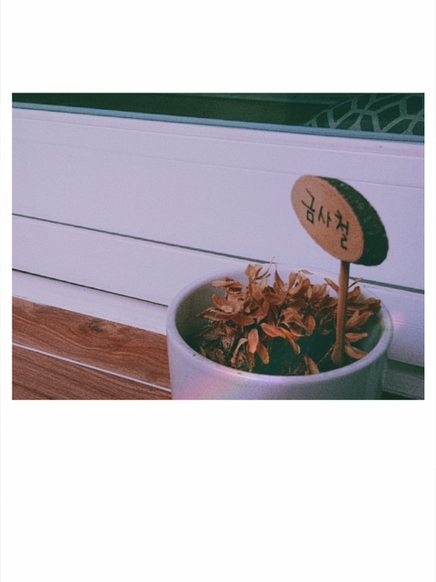 금사철
