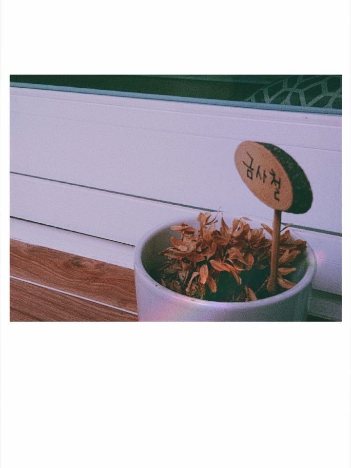 금사철