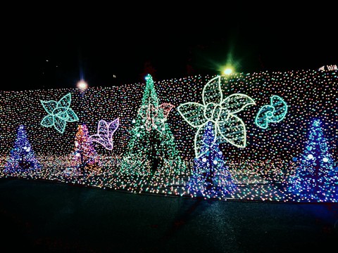 Christmas lights