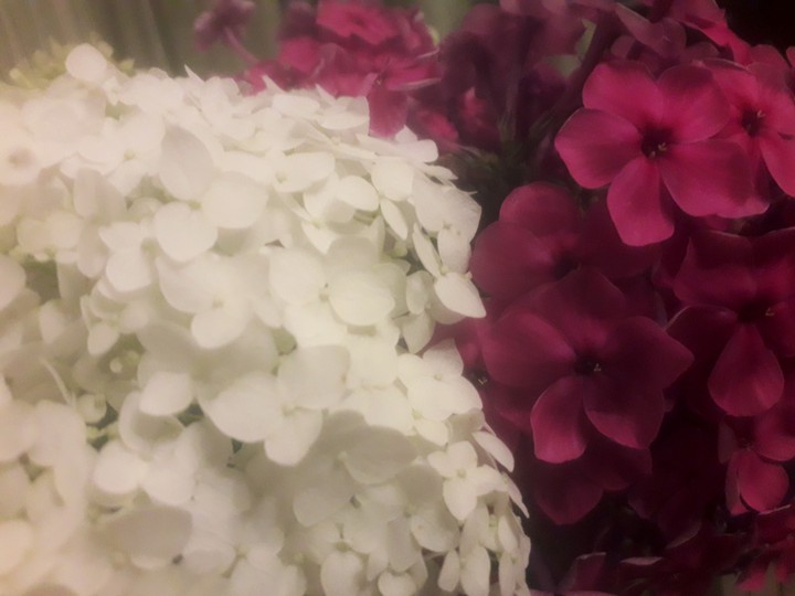 flowers