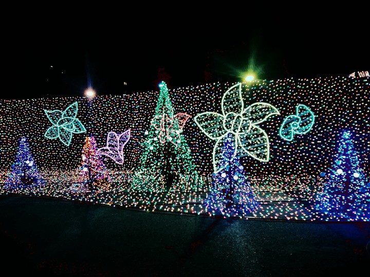 Christmas lights