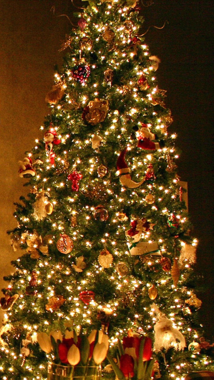 Christmas