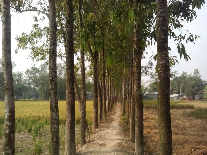 village street