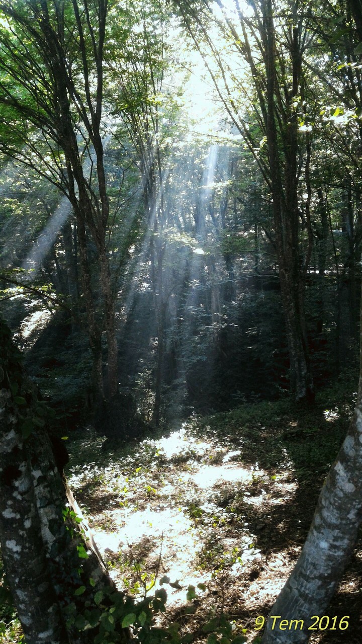 Issızlık