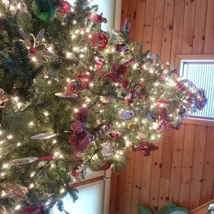 o Christmas tree