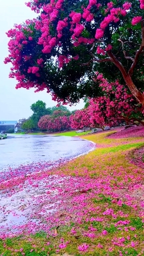 NATURE