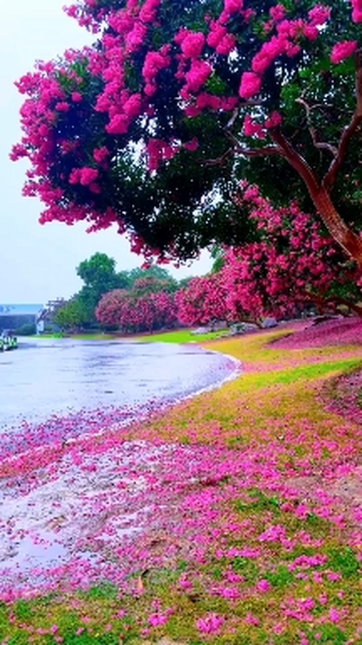 NATURE