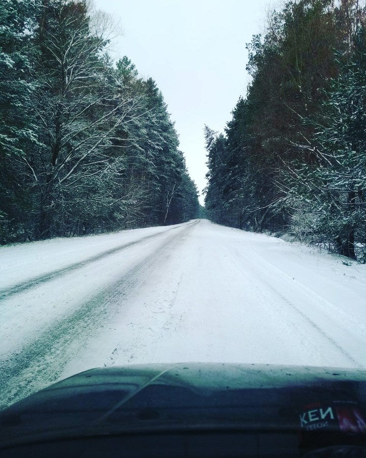 Дорога в сказку