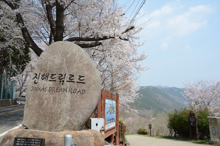 진해이미지