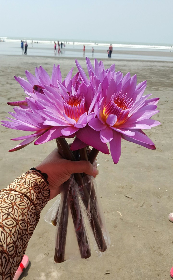 Cox's Bazar, Bangladesh (The world's longest sea beach)