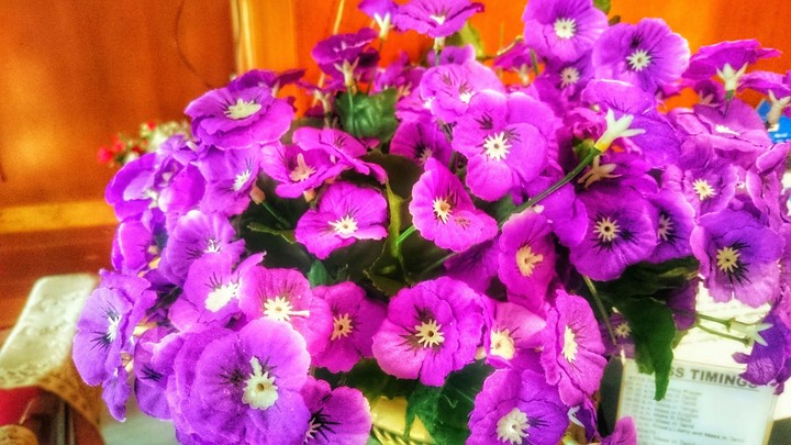 flowers