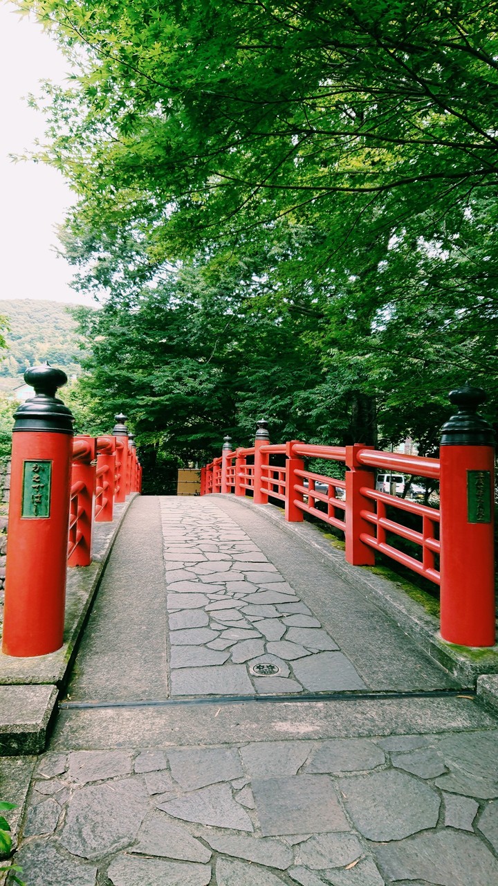 修善寺・楓橋