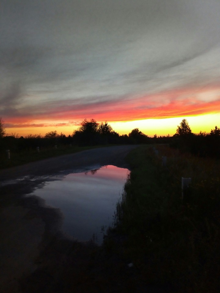 sunset