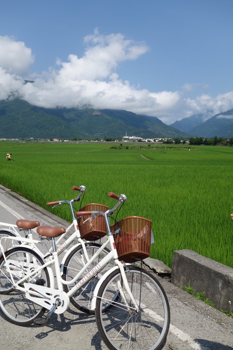 Bikes