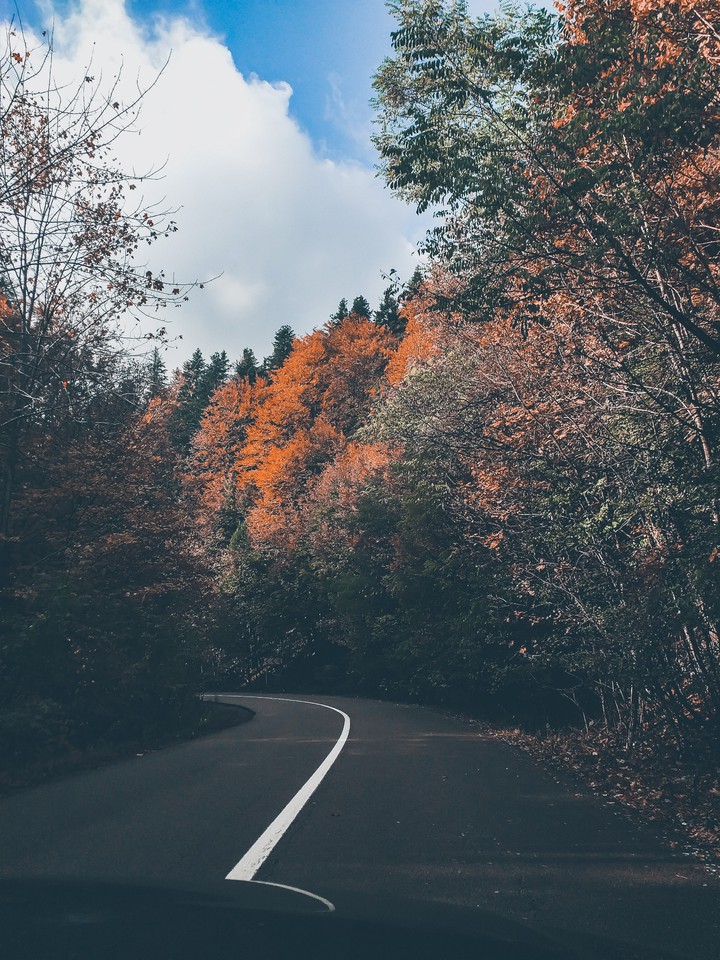 autumn