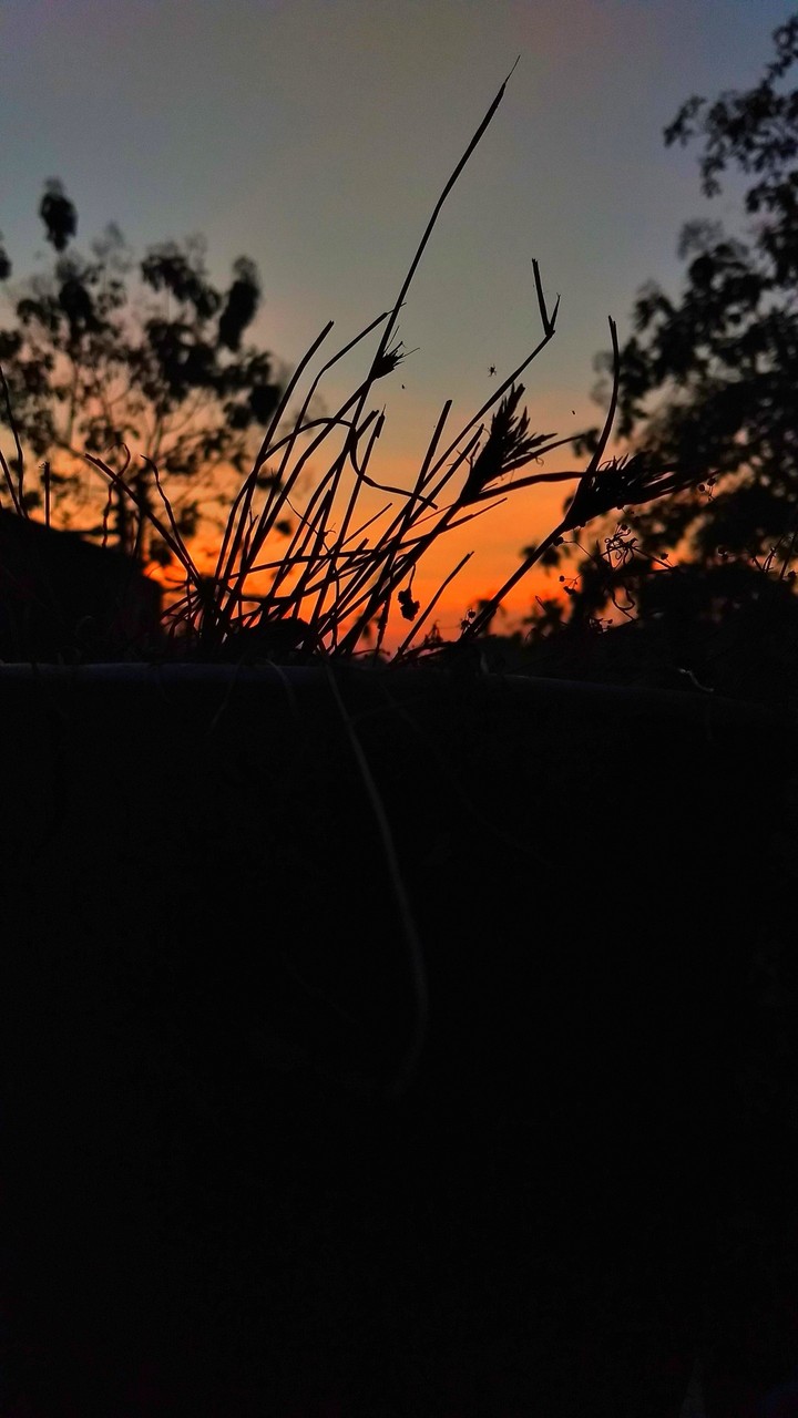 Dusk at Kuzhikala