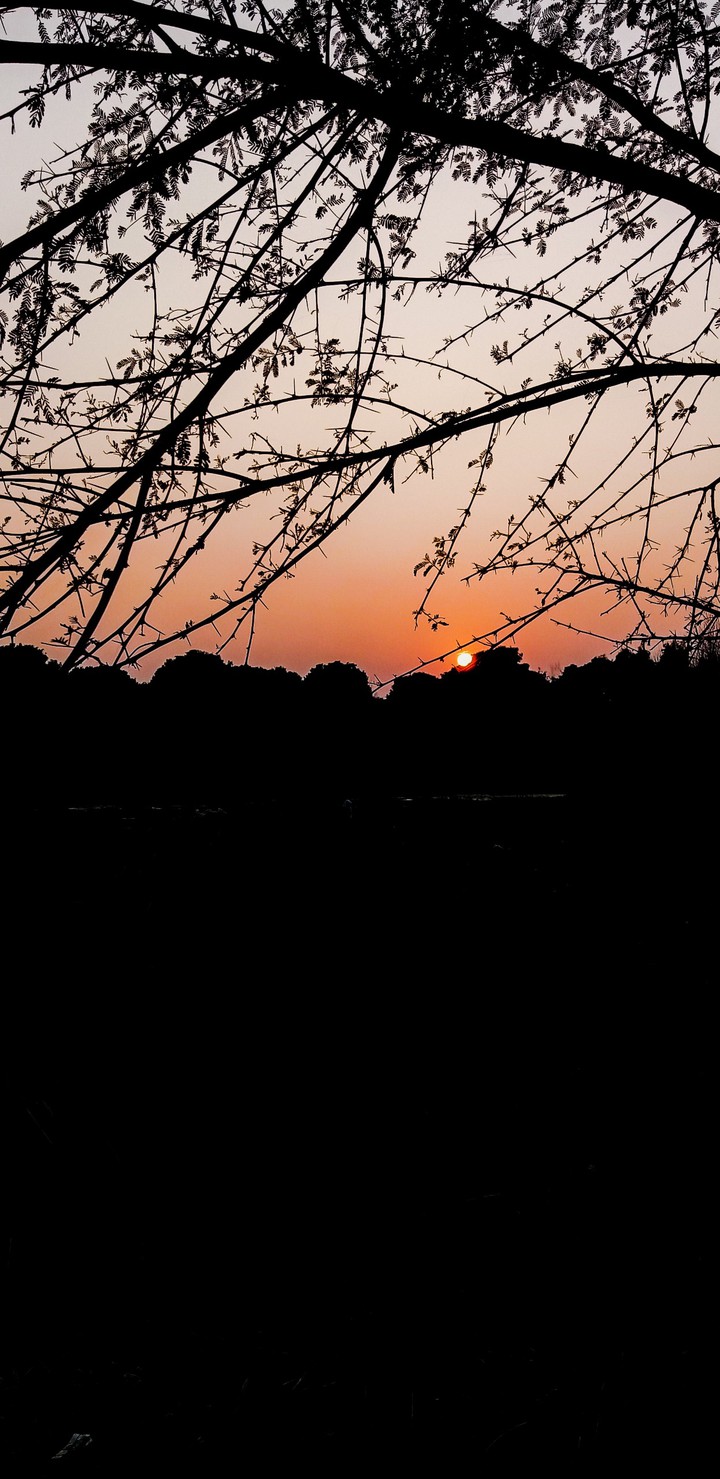 sun