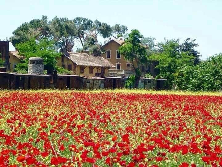 Home