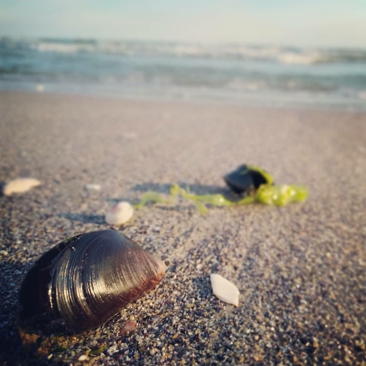 Sunset beach