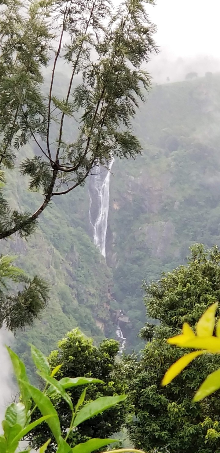 Somewhere in Ooty