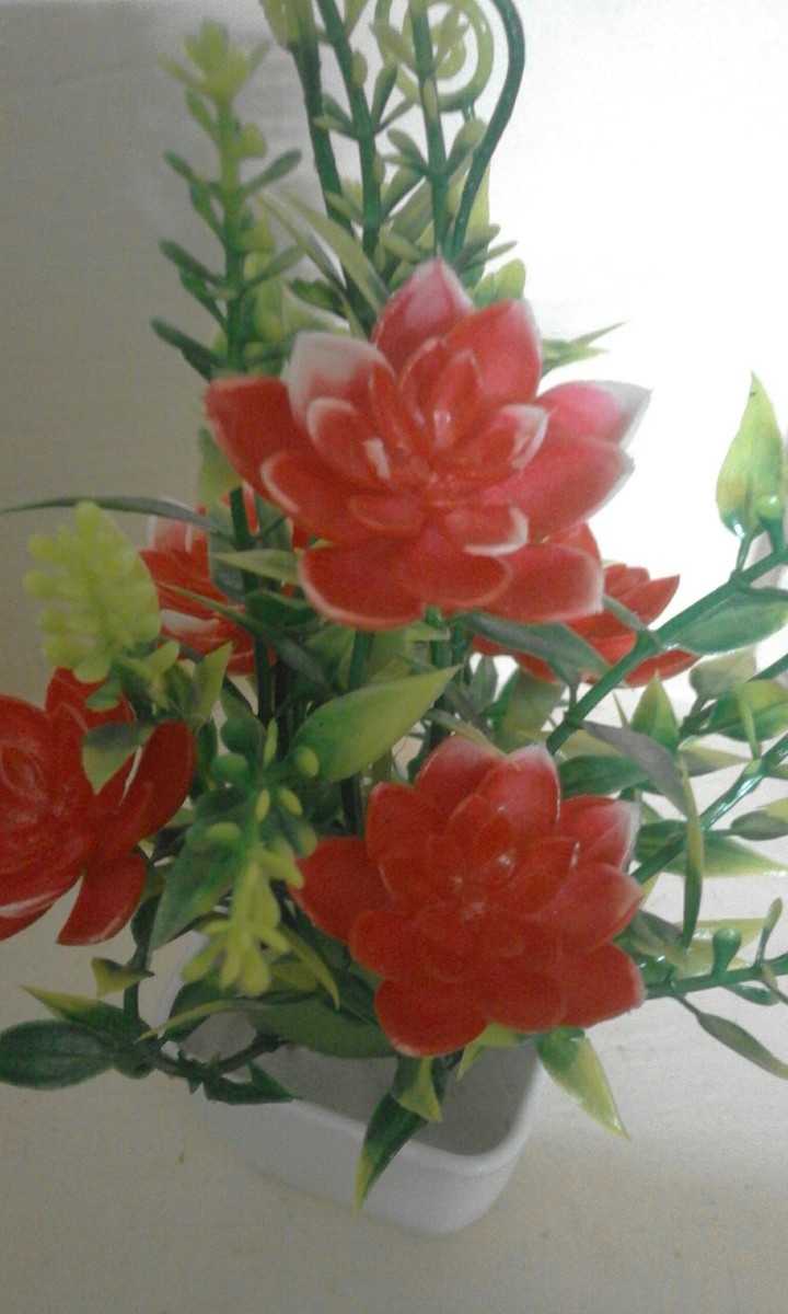 flowers