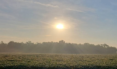 sunrise, ecoregion वॉलपेपर