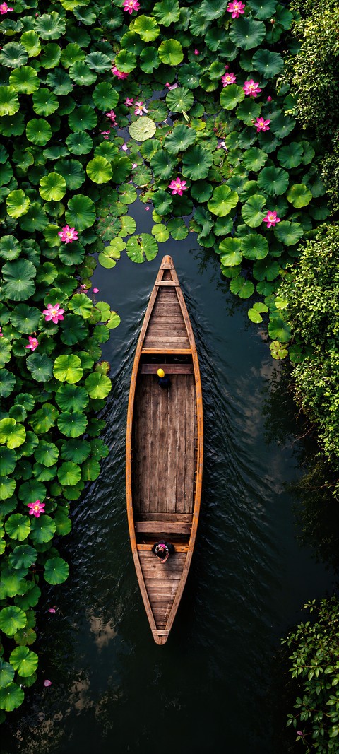 fondos de pantalla petal, boat