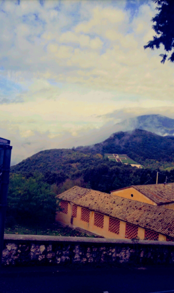 view