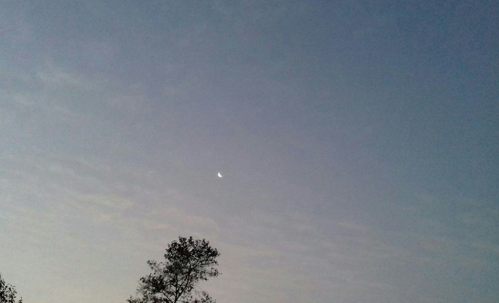 The Crescent