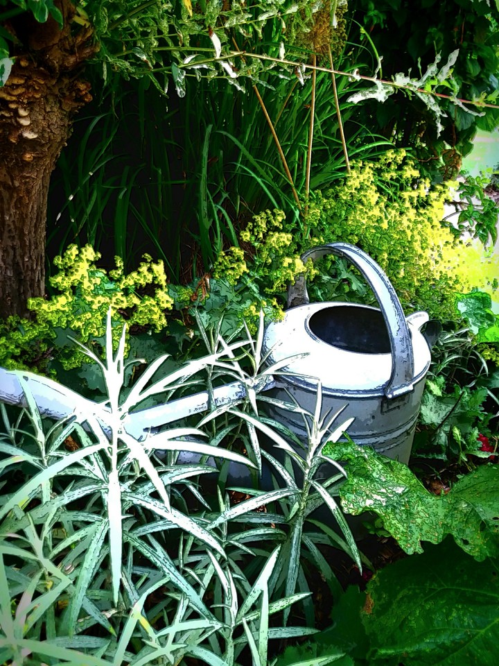 Comic watering can