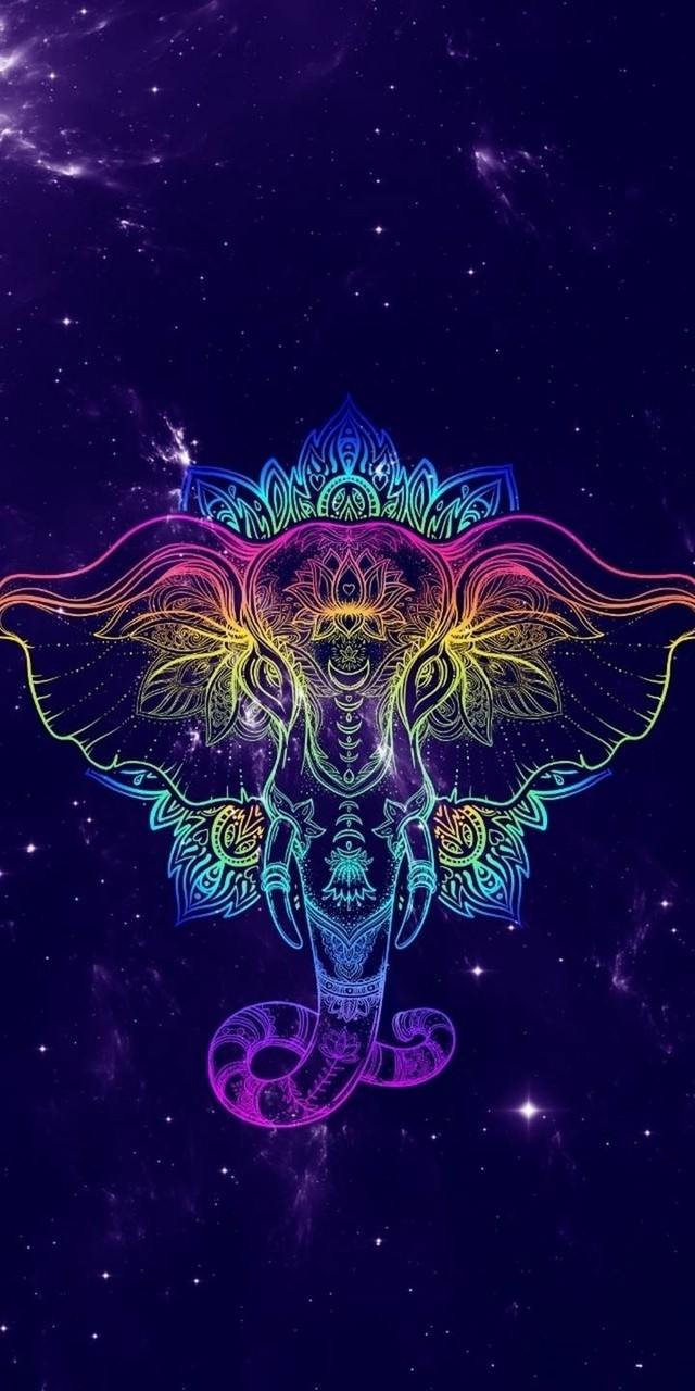 elephant in the space