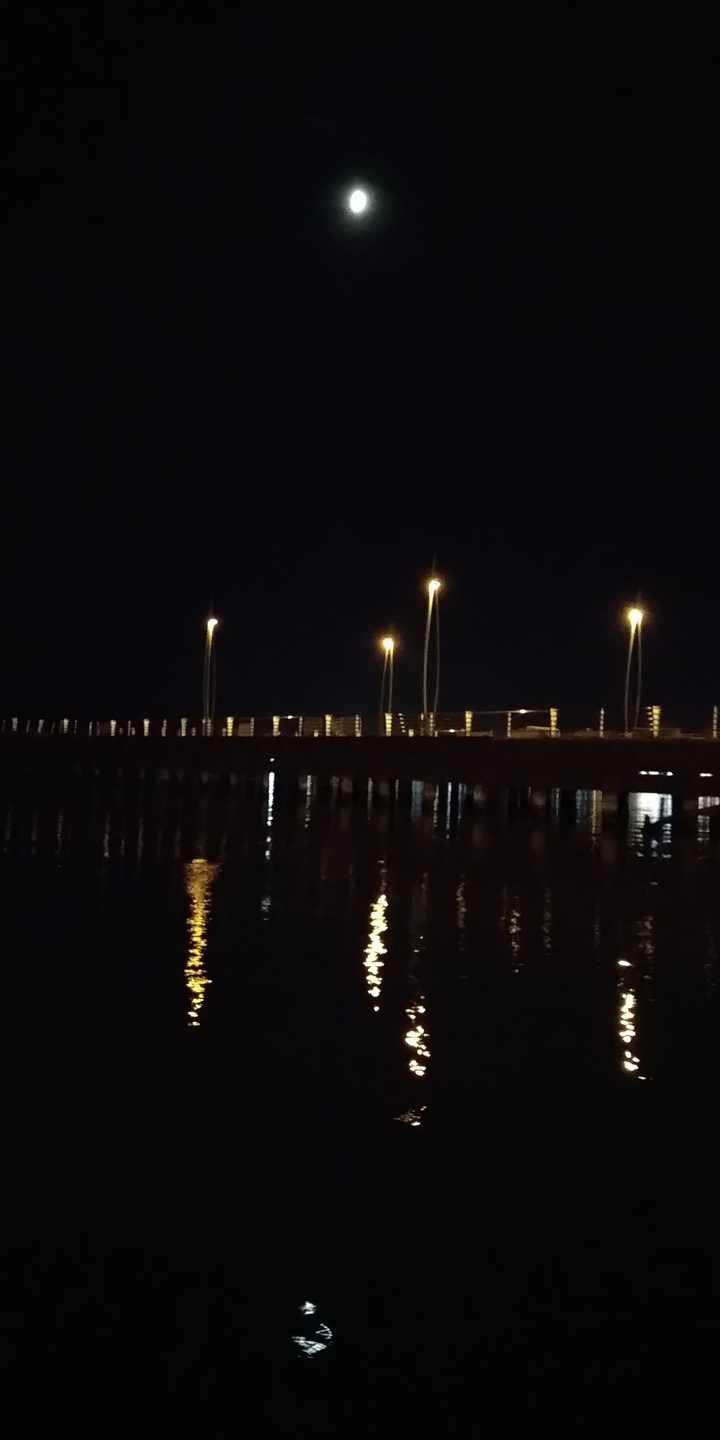 Sea Night