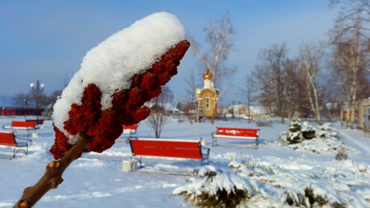 Зима