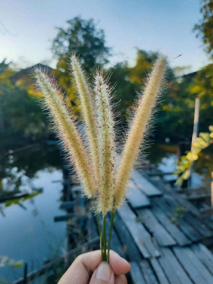วันใหม่