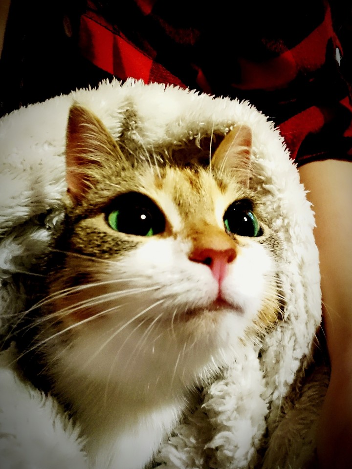 инопланетянка