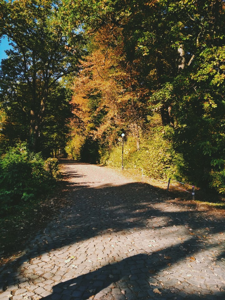 Осень в Закарпатье