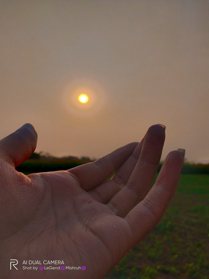 Sunlight ?
