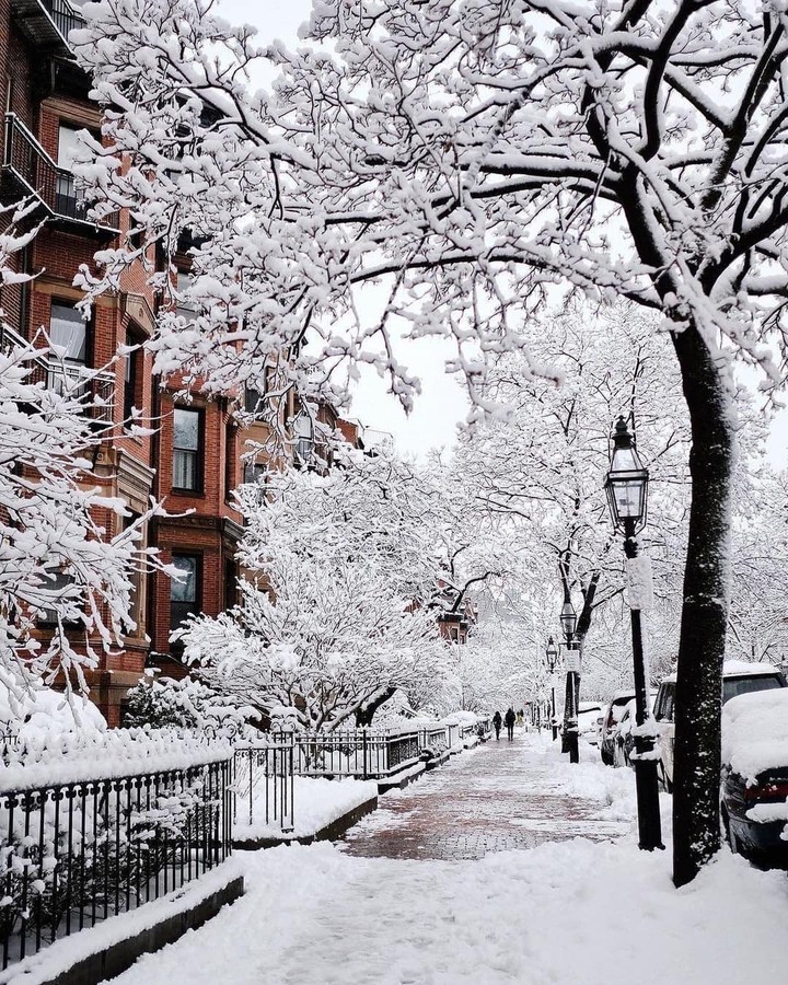 snow