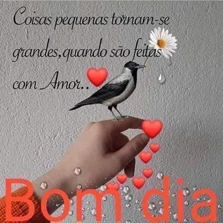bom dia
